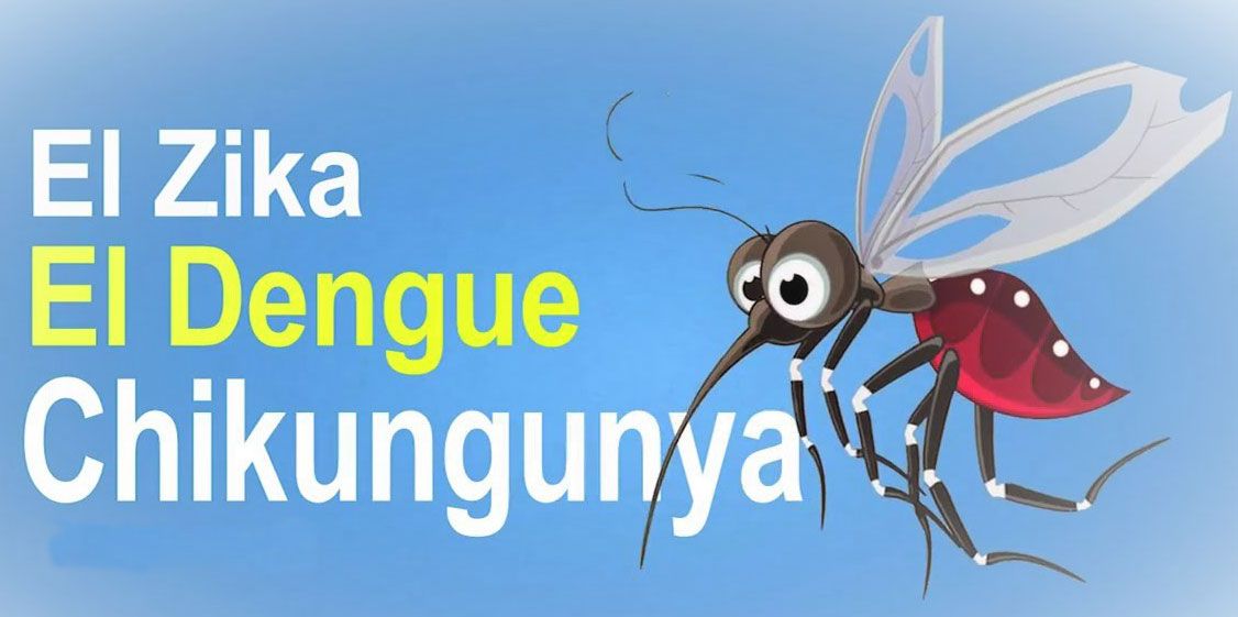 DENGUE, ZIKA Y CHIKUNGUNYA